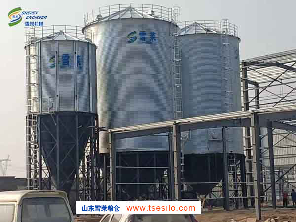 河北衡水2台玉米和1台150T豆粕锥底金年会金字招牌信誉至上首页:钢板仓安装完成