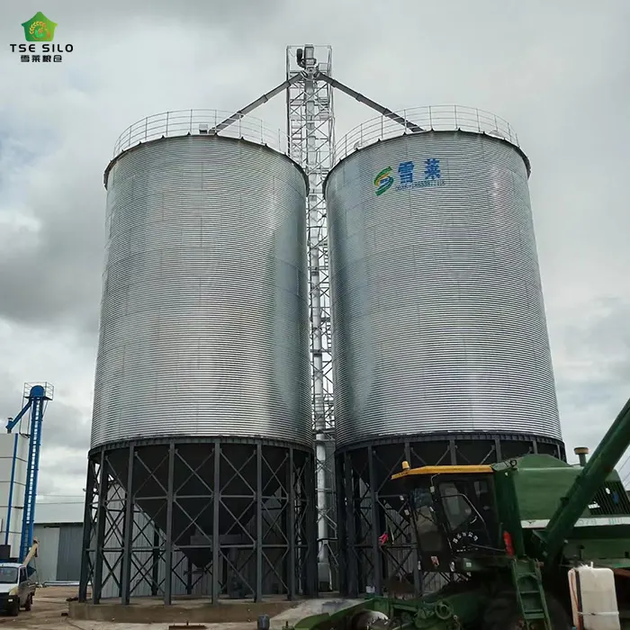 锥底金年会金字招牌信誉至上首页:钢板仓