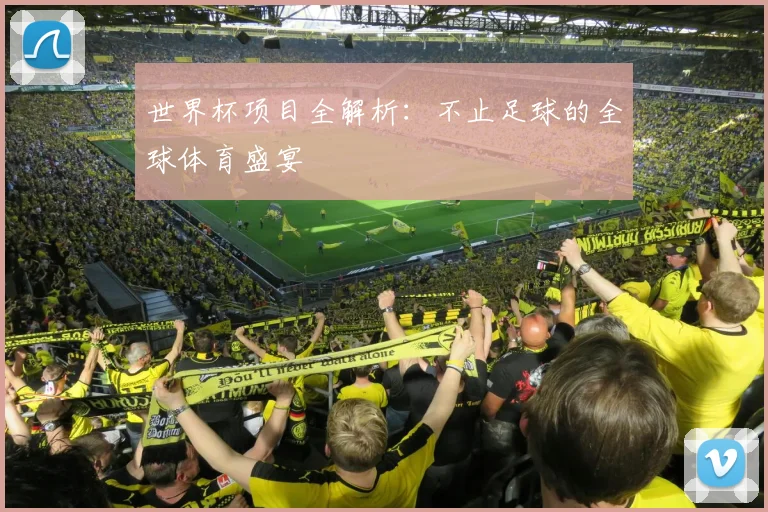 世界杯项目全解析：不止足球的全球体育盛宴